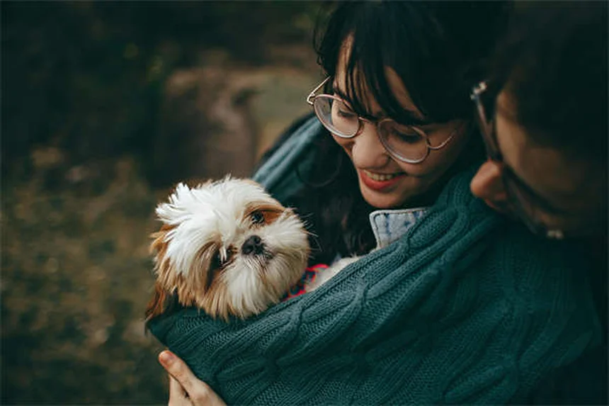 なぜ犬がうんちに転がる？知っておきたい理由と対策